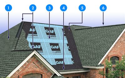 Evaluating Your Roof Part 2: Degranulation