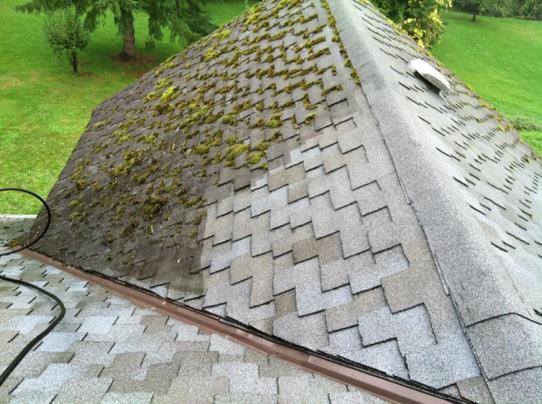 Roof Cleaning Restore