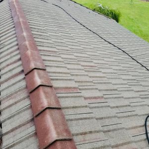 roof cleaning and maintenance