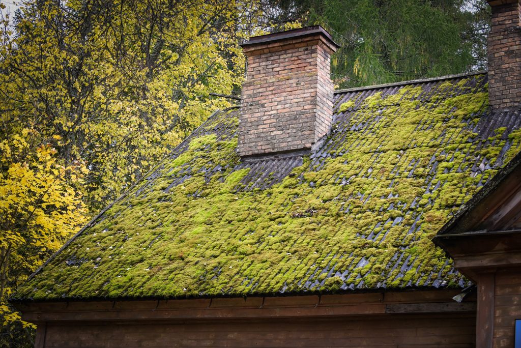 keeping your roof in shape